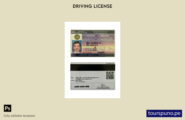 lista para imprimir la plantilla de licencia de conducir de automóvil privado de